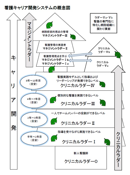 看護部ラダー図