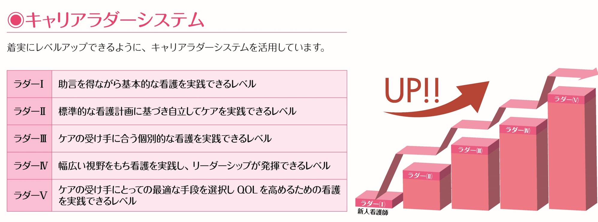 看護部ラダー図