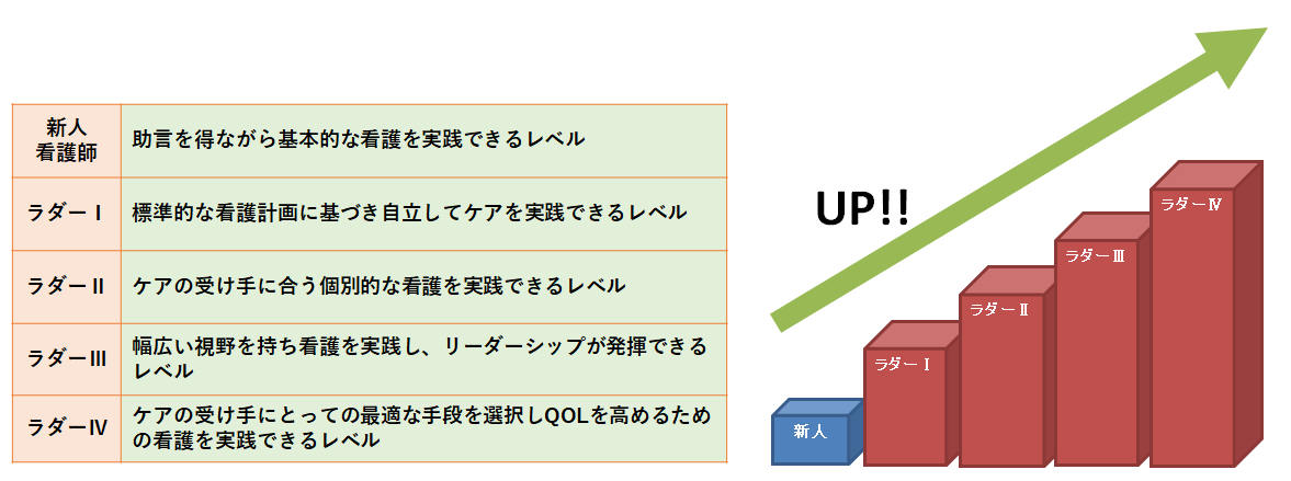 看護部ラダー図